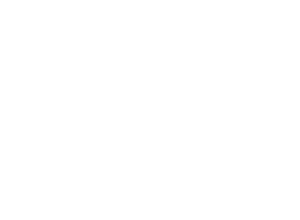 investor-7